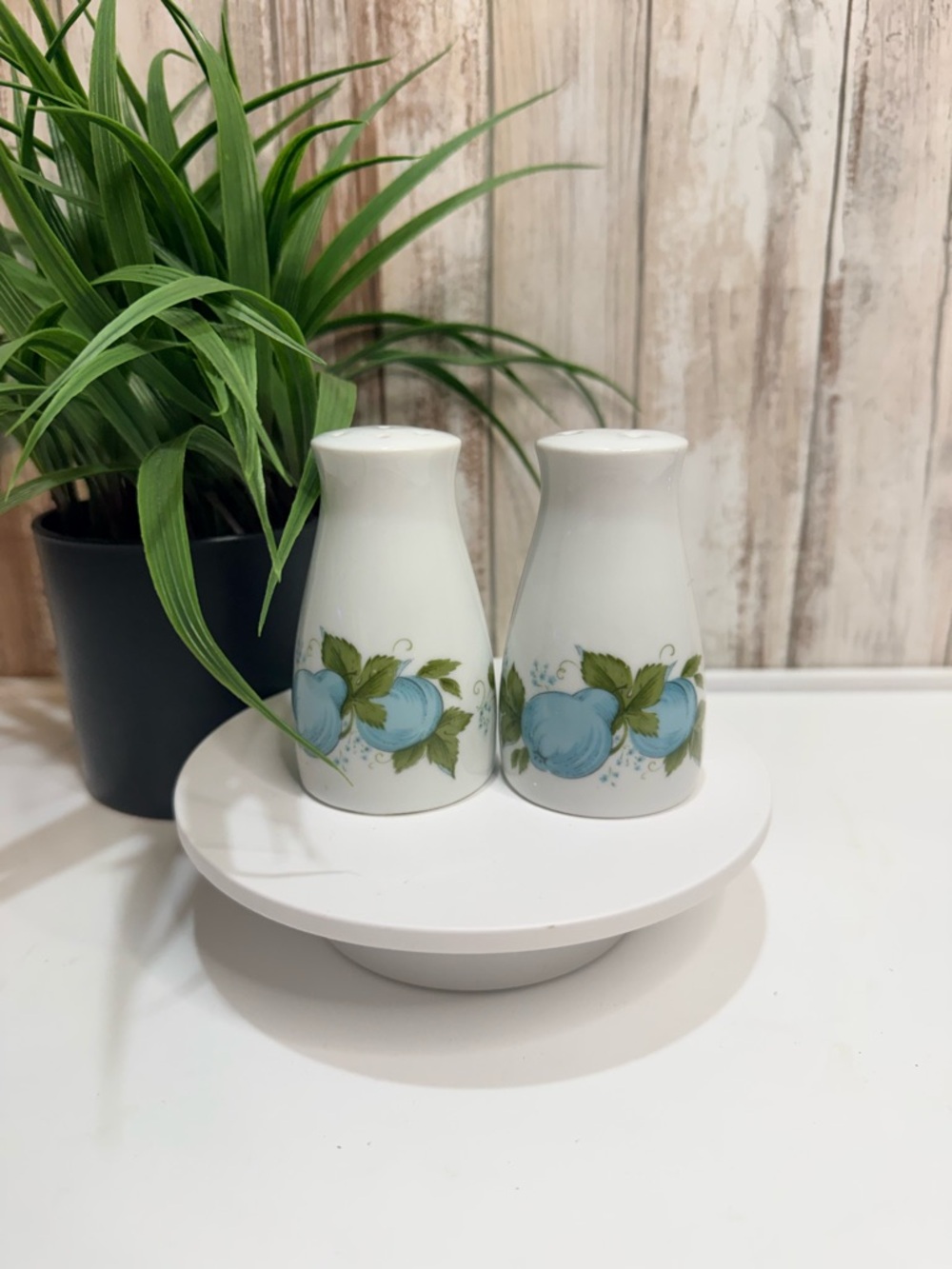 Vintage Noritake Savannah Salt & Pepper Shakers